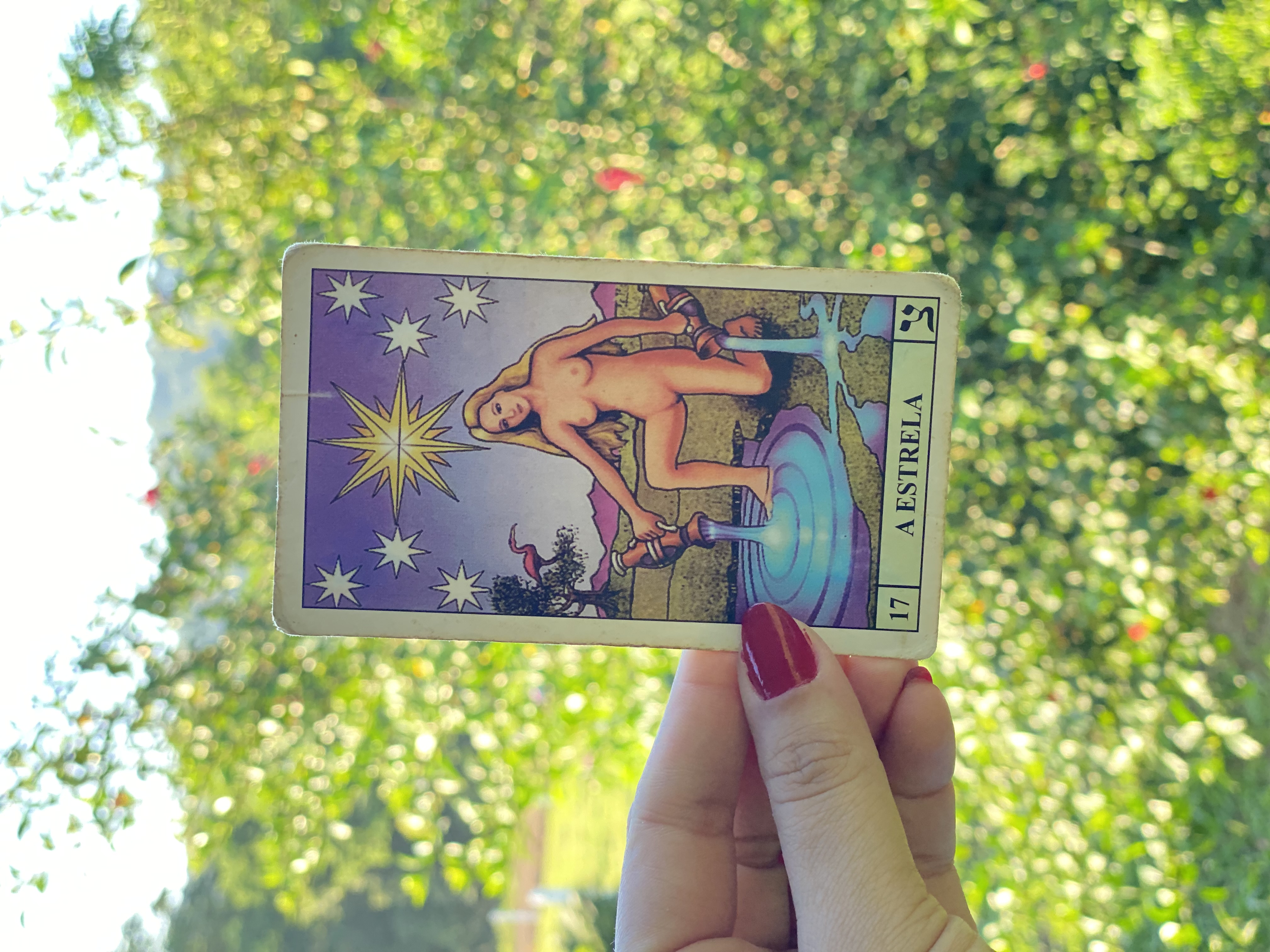 Leitura de tarot e Taroterapia