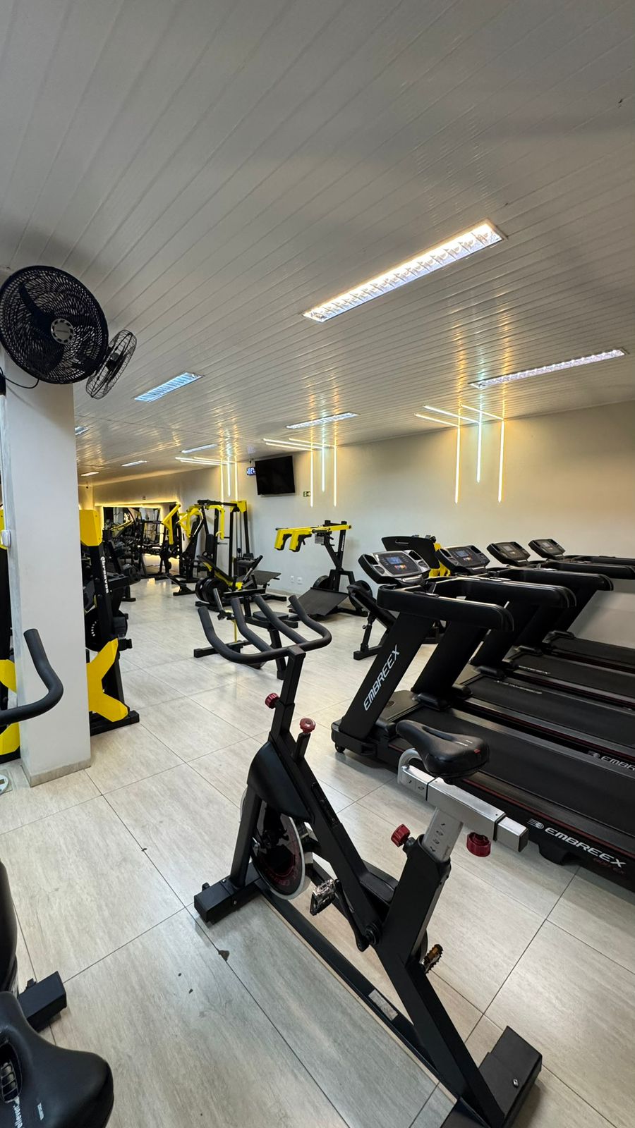 GS Academia